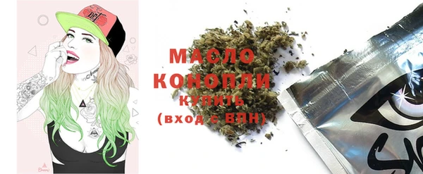 индика Абаза