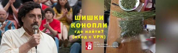 индика Абаза