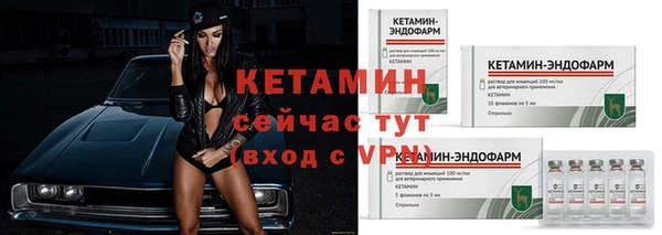 дживик Анжеро-Судженск