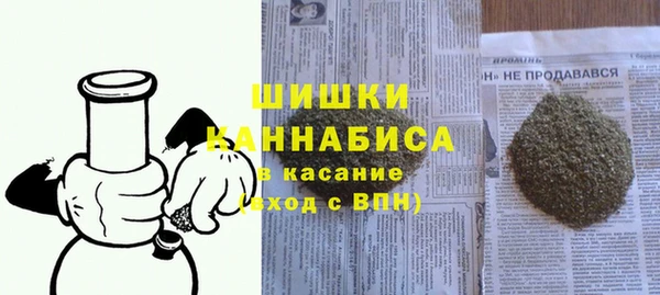 молекула духа Нягань