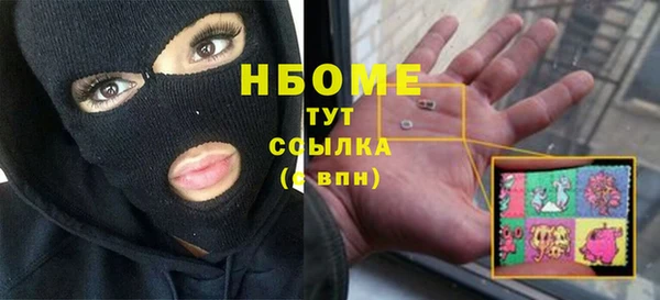индика Абаза