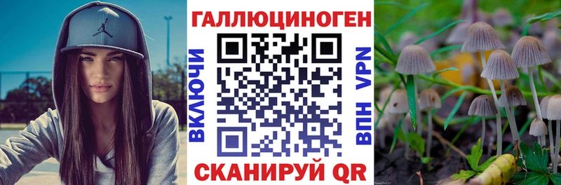Галлюциногенные грибы Psilocybine cubensis  где можно купить наркотик  Моршанск 
